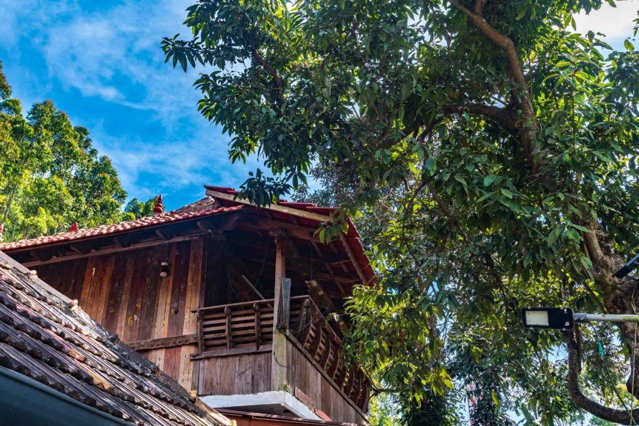 คาสติลโย เดอ วูด Hotel Kottakamboor ภายนอก รูปภาพ